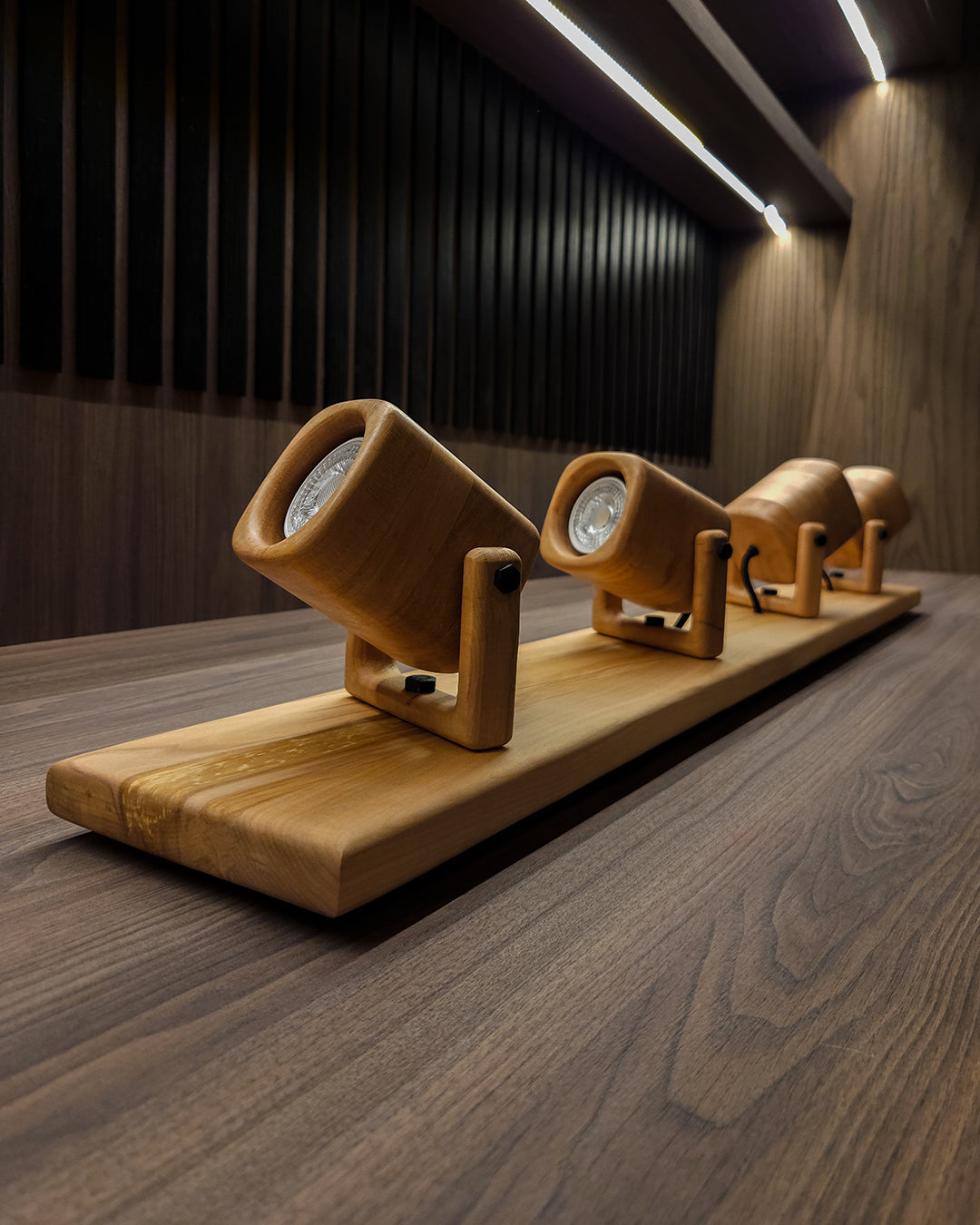 Set de Focos | Lenga