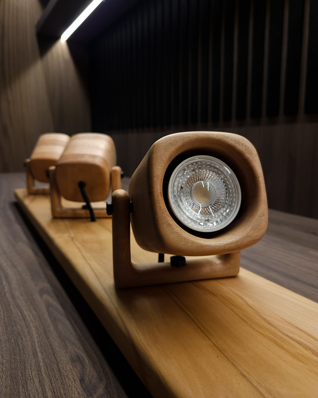 Set de Focos | Lenga