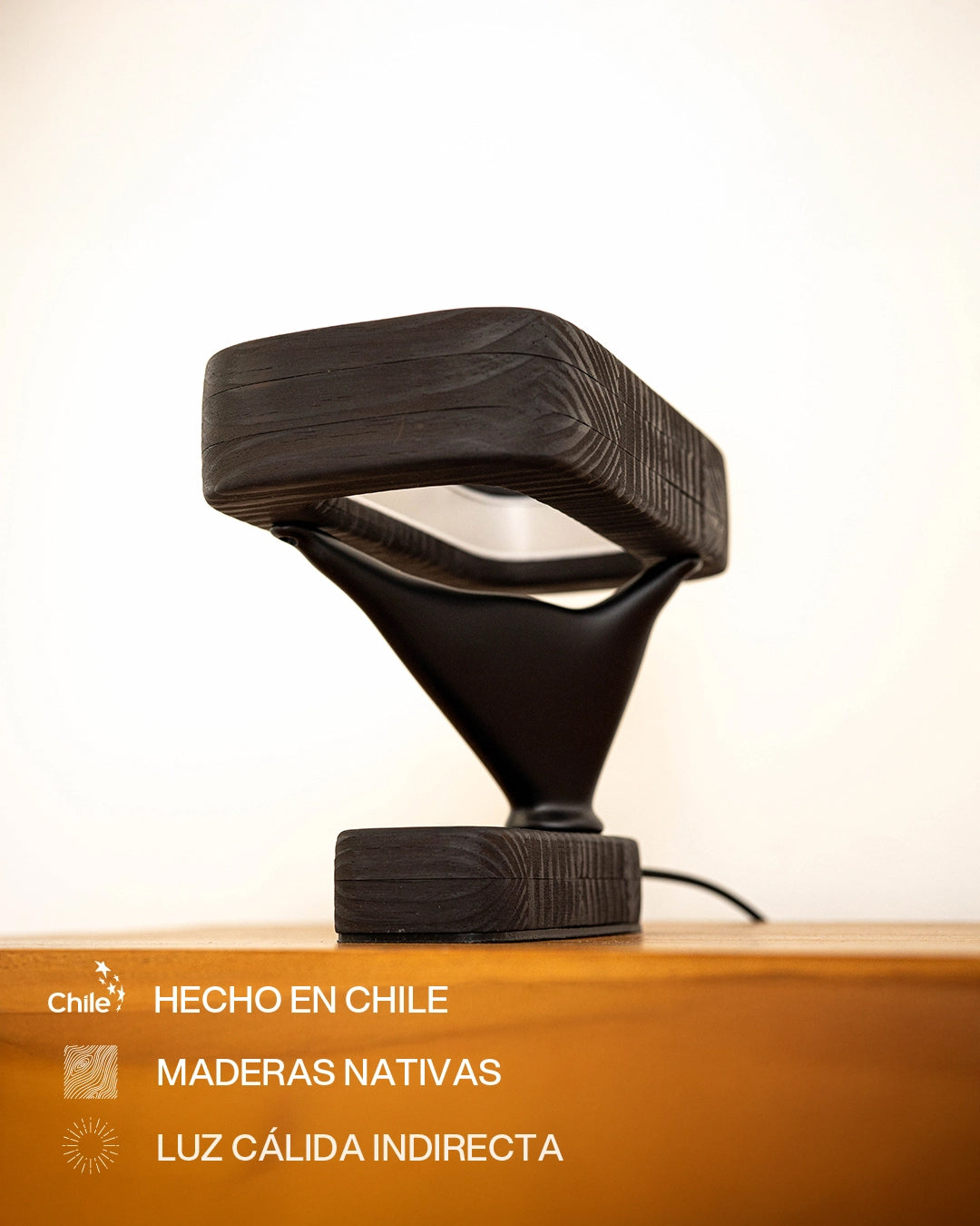 Bonsái | Pino Negro