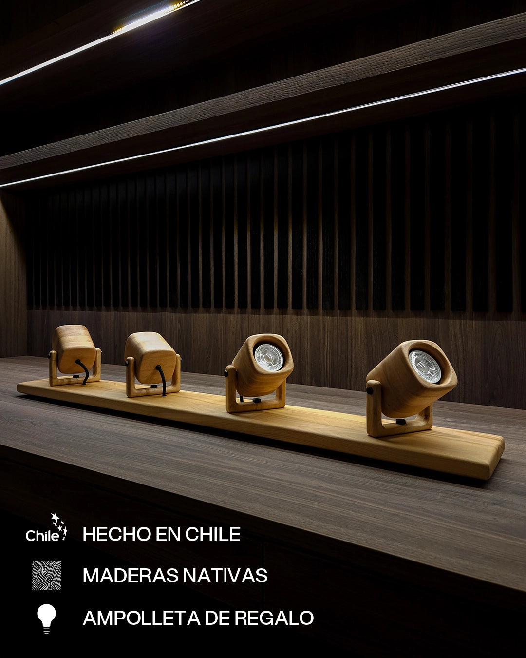 Set de Focos | Lenga