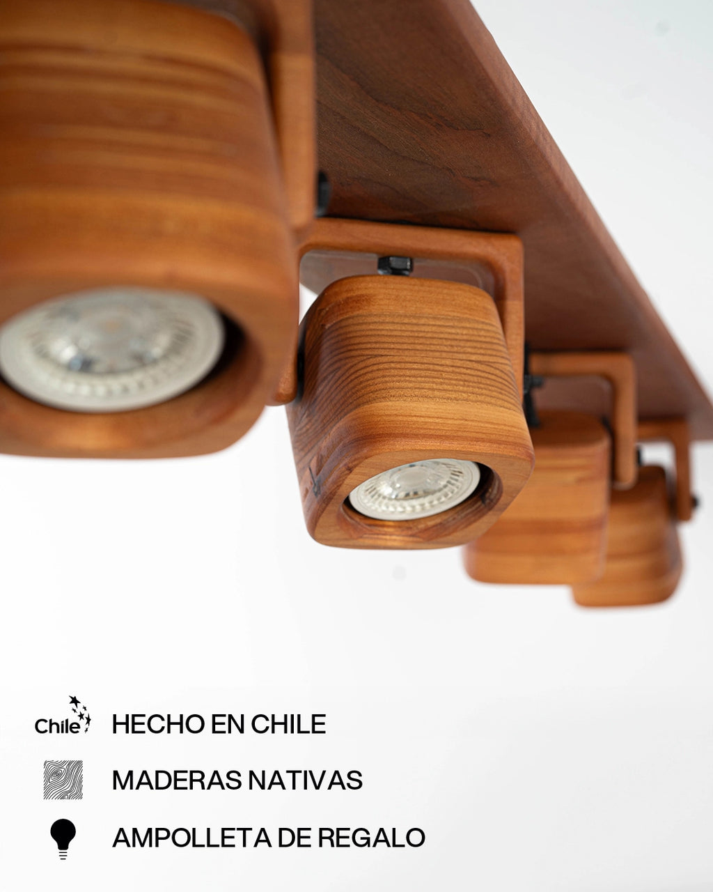 Set de Focos | Raulí