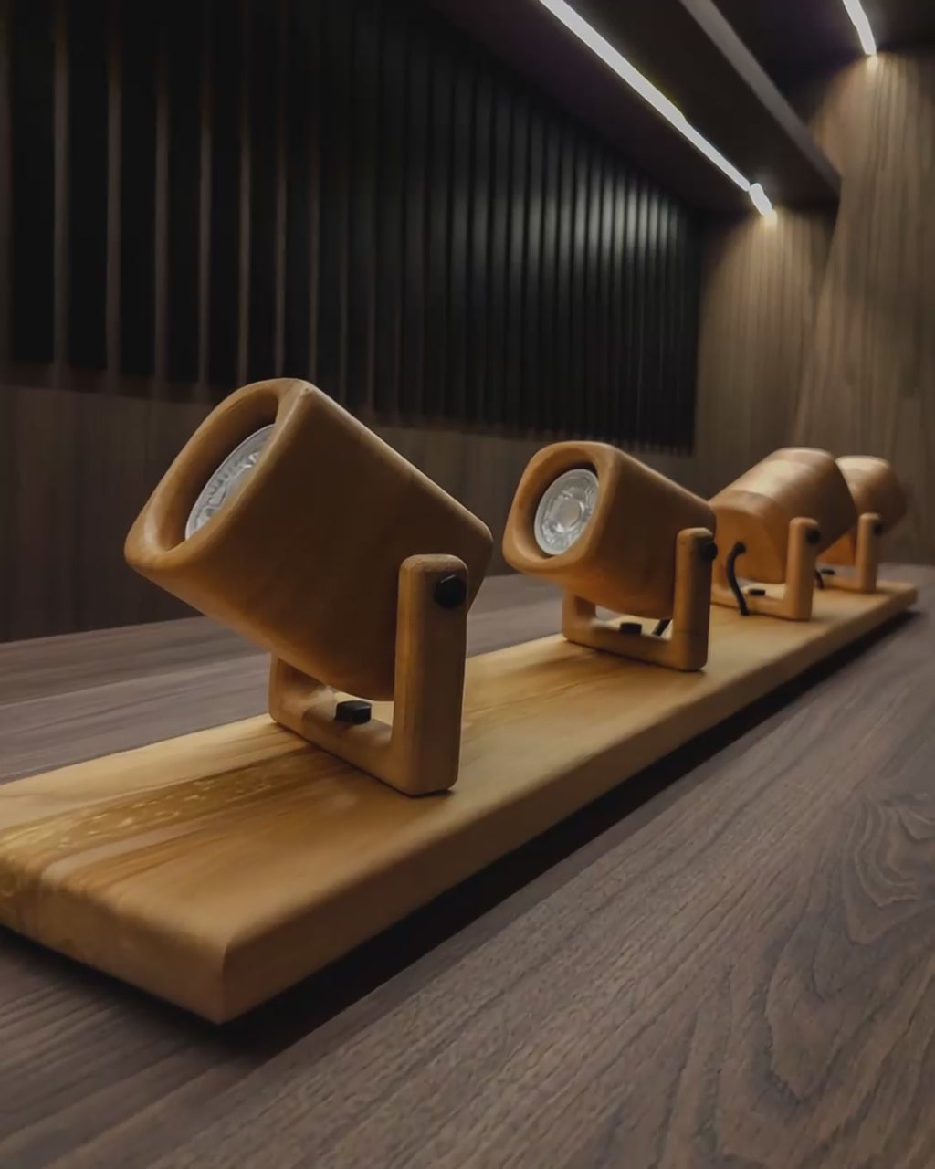 Set de Focos | Lenga